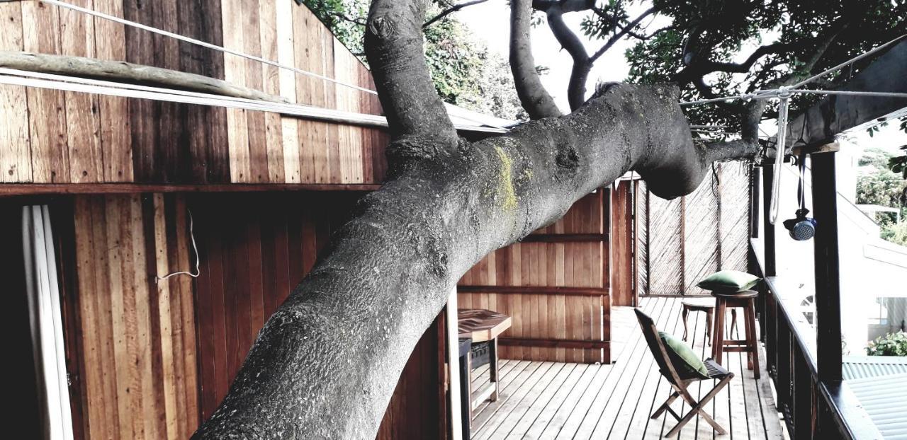 Scarborough Nature Lodge Cape Town Exterior photo